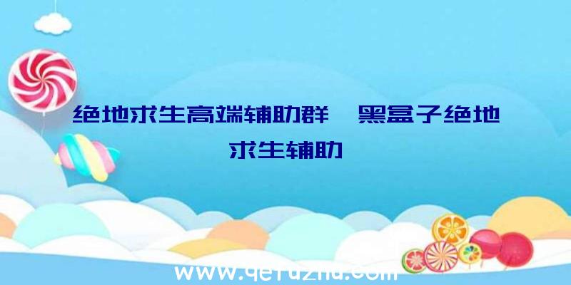 绝地求生高端辅助群、黑盒子绝地求生辅助