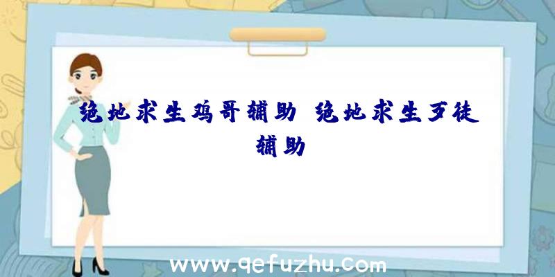 绝地求生鸡哥辅助、绝地求生歹徒辅助