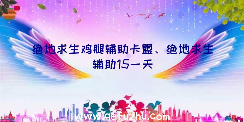 绝地求生鸡腿辅助卡盟、绝地求生辅助15一天