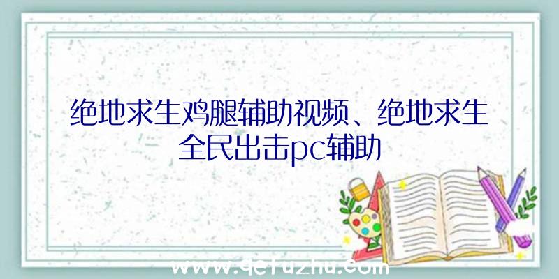 绝地求生鸡腿辅助视频、绝地求生全民出击pc辅助