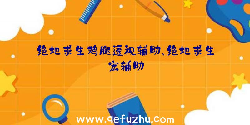 绝地求生鸡腿透视辅助、绝地求生宏辅助