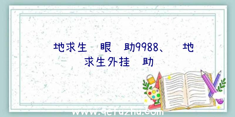 绝地求生鹰眼辅助9988、绝地求生外挂辅助