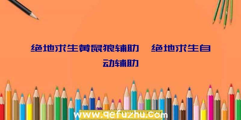 绝地求生黄鼠狼辅助、绝地求生自动辅助