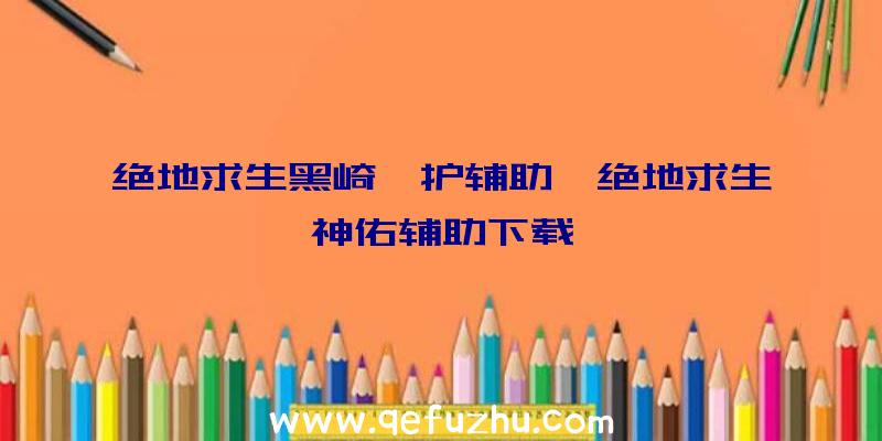 绝地求生黑崎一护辅助、绝地求生神佑辅助下载