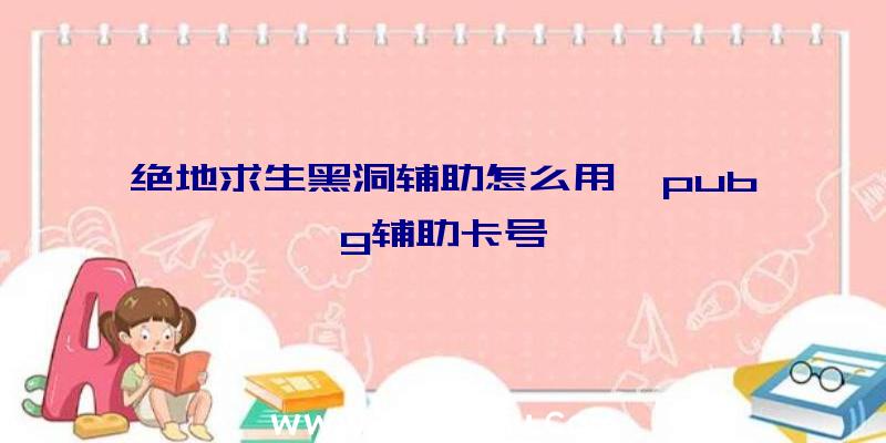 绝地求生黑洞辅助怎么用、pubg辅助卡号