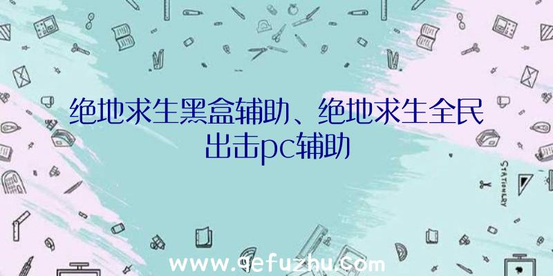 绝地求生黑盒辅助、绝地求生全民出击pc辅助