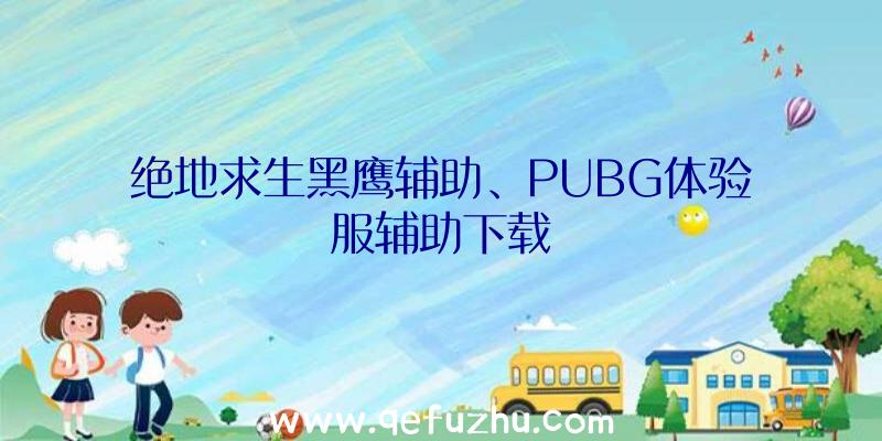 绝地求生黑鹰辅助、PUBG体验服辅助下载