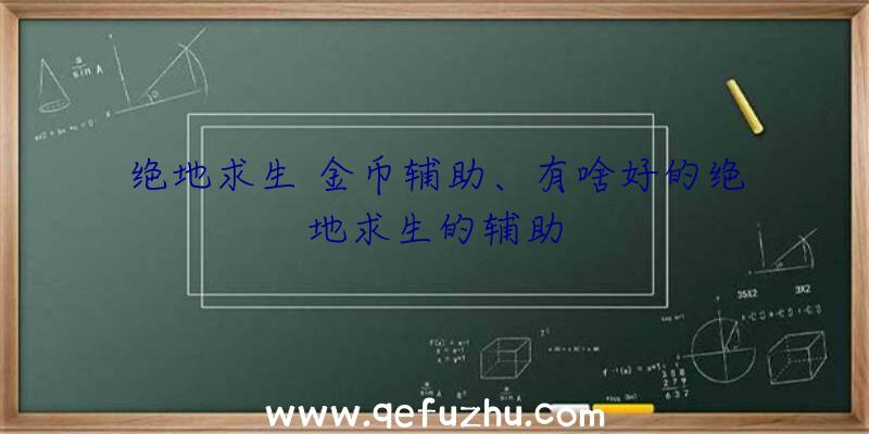 绝地求生+金币辅助、有啥好的绝地求生的辅助