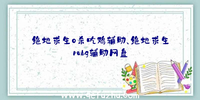 绝地求生0杀吃鸡辅助、绝地求生pubg辅助网盘