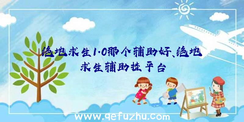 绝地求生1.0那个辅助好、绝地求生辅助挂平台