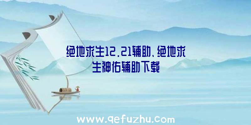 绝地求生12.21辅助、绝地求生神佑辅助下载