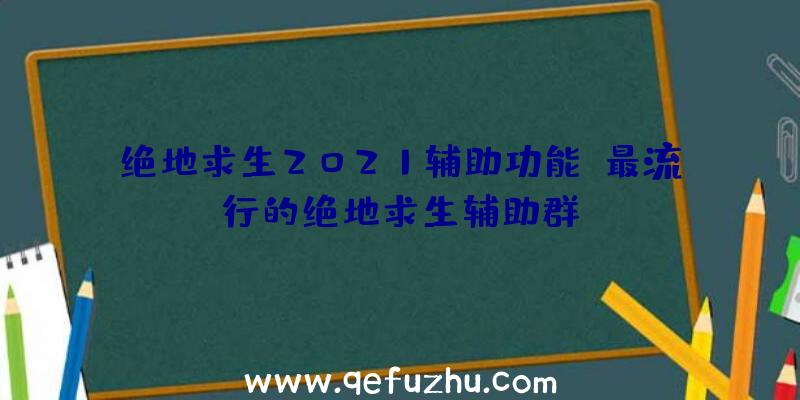 绝地求生2021辅助功能、最流行的绝地求生辅助群