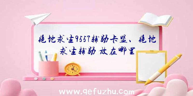 绝地求生9557辅助卡盟、绝地求生辅助