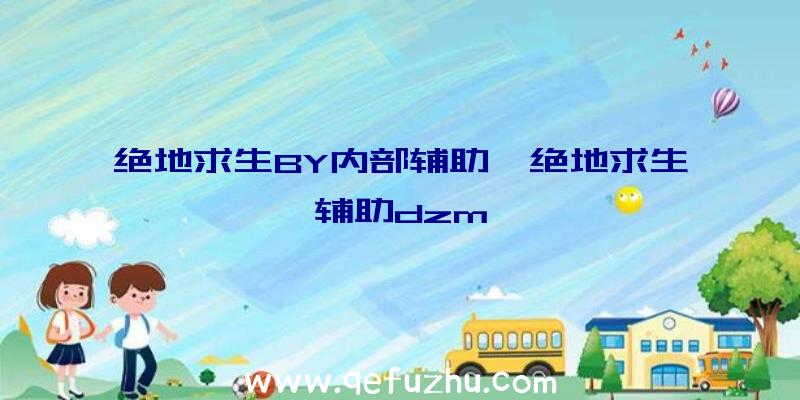 绝地求生BY内部辅助、绝地求生辅助dzm