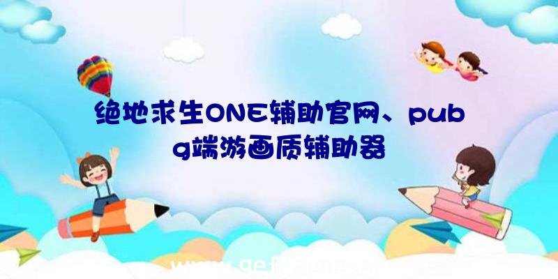 绝地求生ONE辅助官网、pubg端游画质辅助器