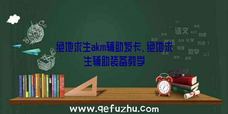 绝地求生akm辅助发卡、绝地求生辅助装备教学