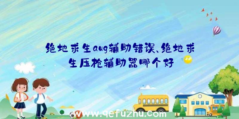 绝地求生aug辅助错误、绝地求生压枪辅助器哪个好