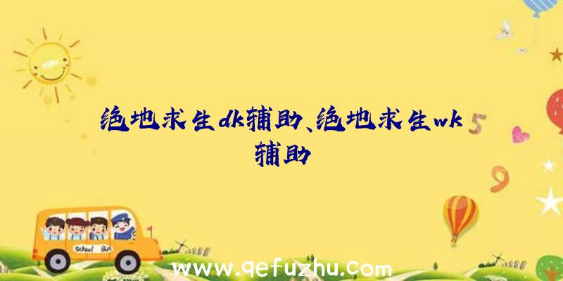 绝地求生dk辅助、绝地求生wk辅助