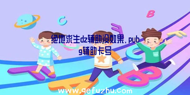 绝地求生dz辅助没效果、pubg辅助卡号