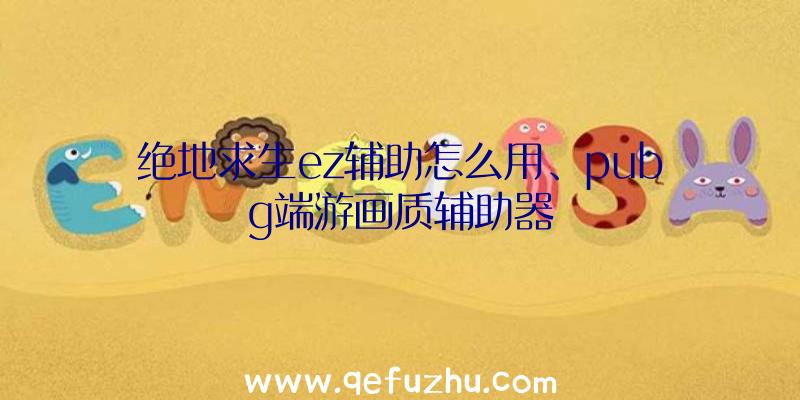 绝地求生ez辅助怎么用、pubg端游画质辅助器