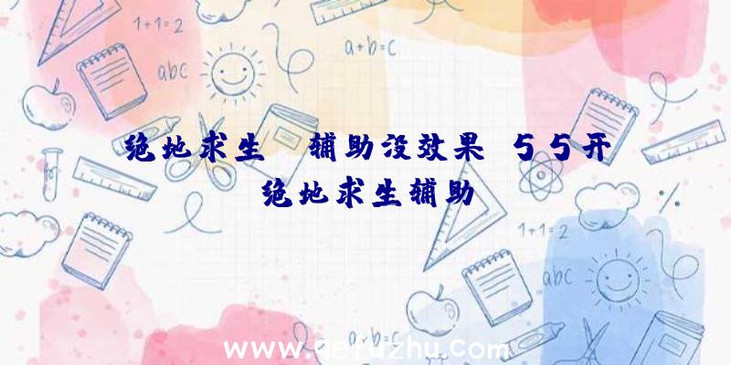 绝地求生ez辅助没效果、55开绝地求生辅助