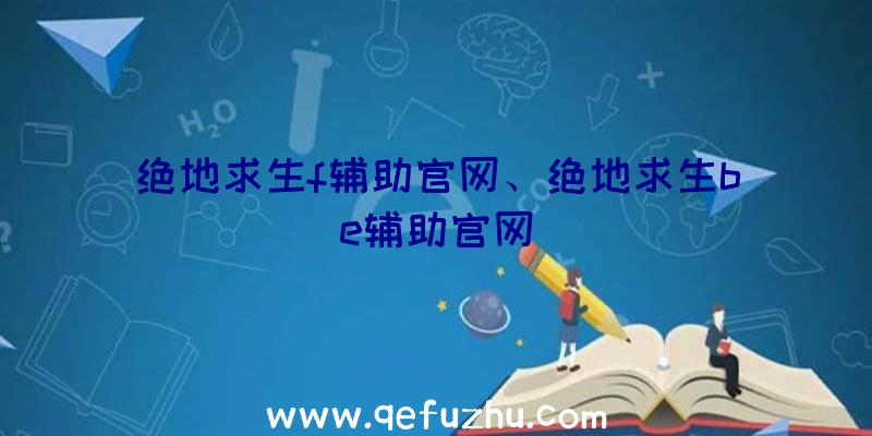 绝地求生f辅助官网、绝地求生be辅助官网