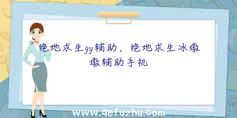 绝地求生gy辅助、绝地求生冰墩墩辅助手机