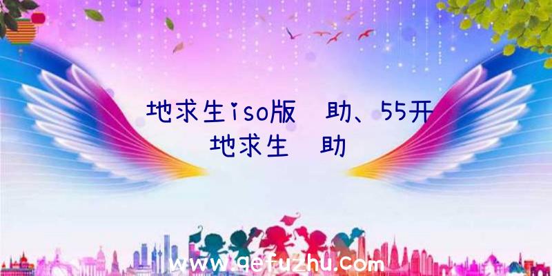 绝地求生iso版辅助、55开绝地求生辅助