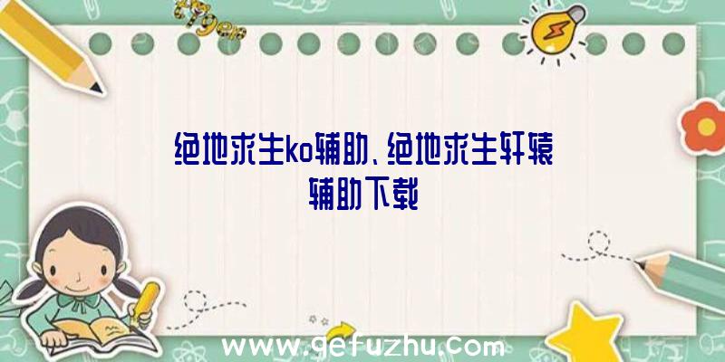 绝地求生ko辅助、绝地求生轩辕辅助下载