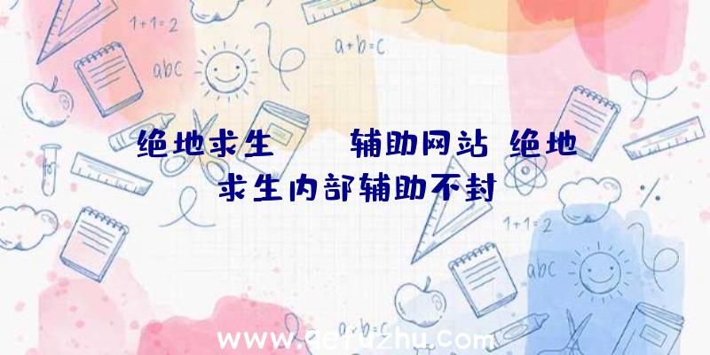 绝地求生lite辅助网站、绝地求生内部辅助不封