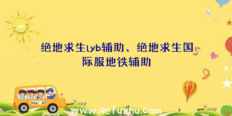 绝地求生lyb辅助、绝地求生国际服地铁辅助