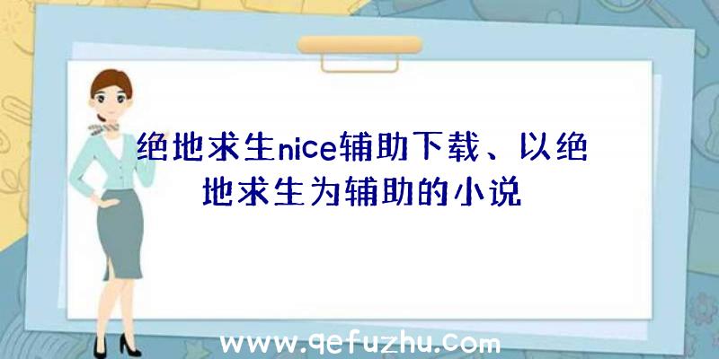 绝地求生nice辅助下载、以绝地求生为辅助的小说