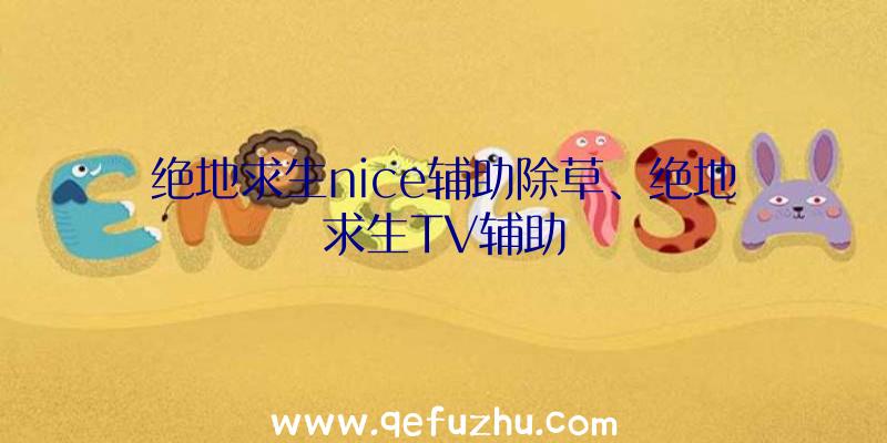 绝地求生nice辅助除草、绝地求生TV辅助