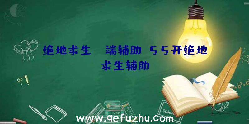 绝地求生pc端辅助、55开绝地求生辅助