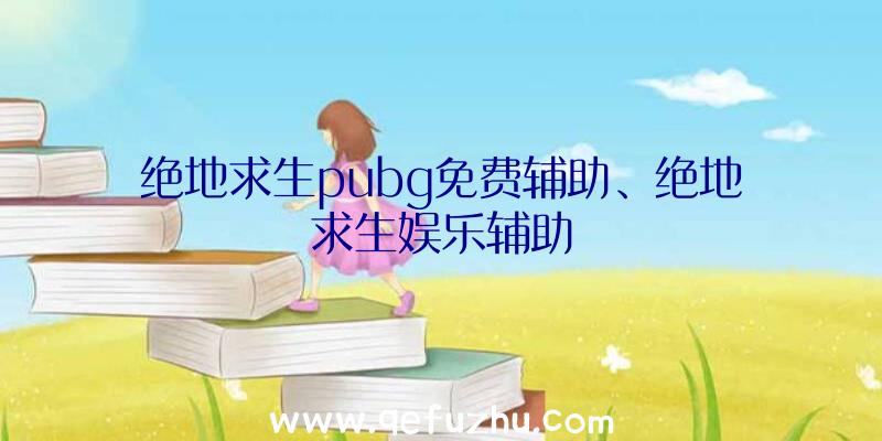 绝地求生pubg免费辅助、绝地求生娱乐辅助