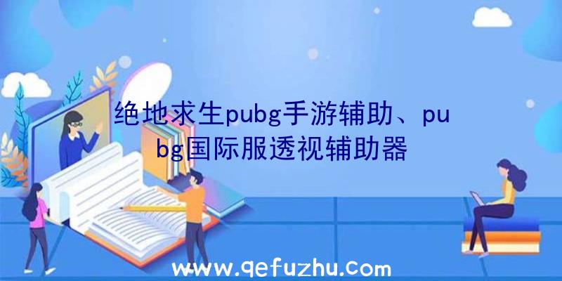 绝地求生pubg手游辅助、pubg国际服透视辅助器