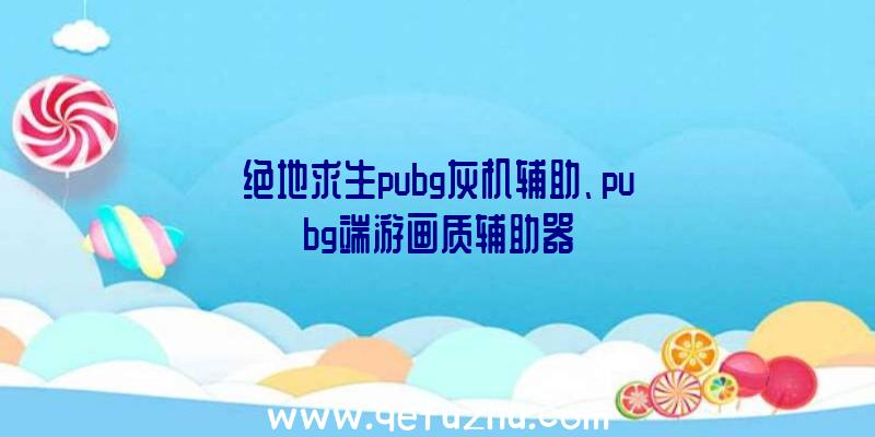 绝地求生pubg灰机辅助、pubg端游画质辅助器