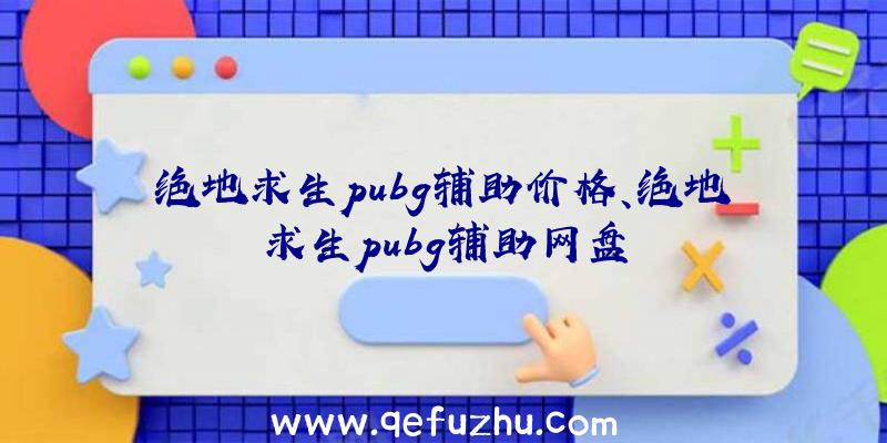 绝地求生pubg辅助价格、绝地求生pubg辅助网盘