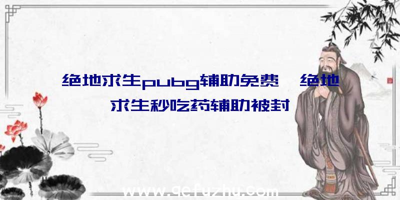 绝地求生pubg辅助免费、绝地求生秒吃药辅助被封