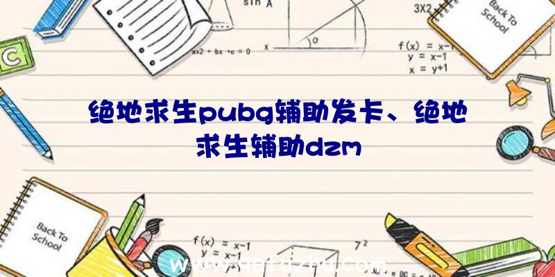 绝地求生pubg辅助发卡、绝地求生辅助dzm