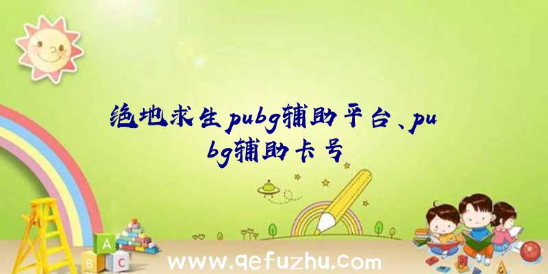 绝地求生pubg辅助平台、pubg辅助卡号