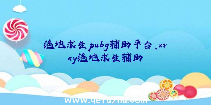 绝地求生pubg辅助平台、xray绝地求生辅助