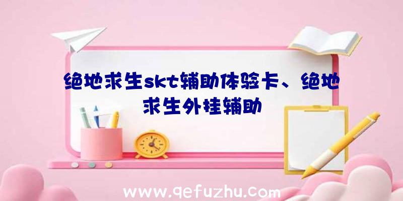 绝地求生skt辅助体验卡、绝地求生外挂辅助