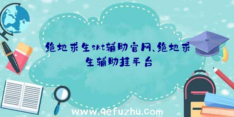 绝地求生skt辅助官网、绝地求生辅助挂平台