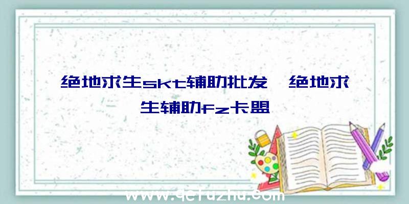 绝地求生skt辅助批发、绝地求生辅助fz卡盟