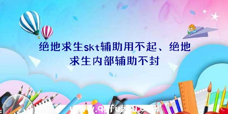 绝地求生skt辅助用不起、绝地求生内部辅助不封