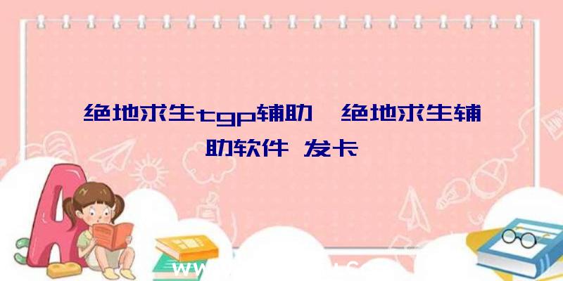 绝地求生tgp辅助、绝地求生辅助软件