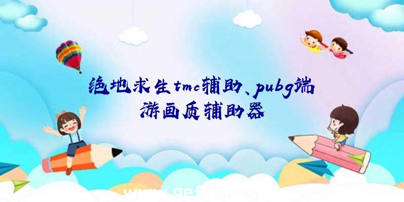 绝地求生tmc辅助、pubg端游画质辅助器