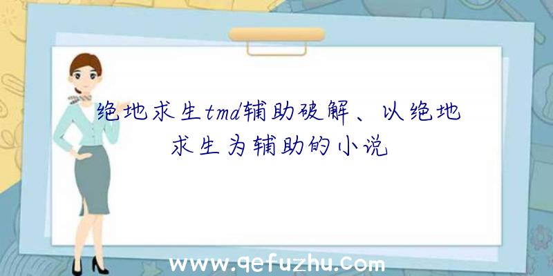 绝地求生tmd辅助破解、以绝地求生为辅助的小说