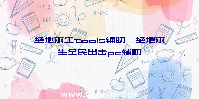 绝地求生tools辅助、绝地求生全民出击pc辅助